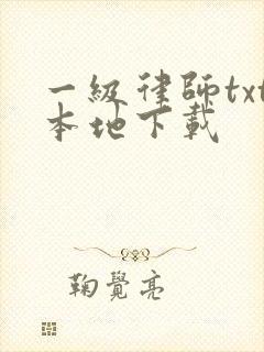 一级律师txt本地下载