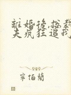 离婚后,总裁前夫疯狂追我