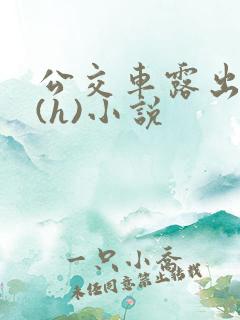 公交车露出调教(h)小说