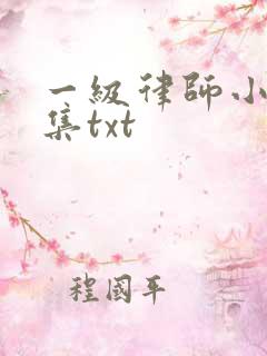 一级律师小说全集txt