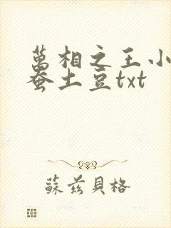 万相之王小说天蚕土豆txt