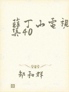 薛丁山电视剧全集40