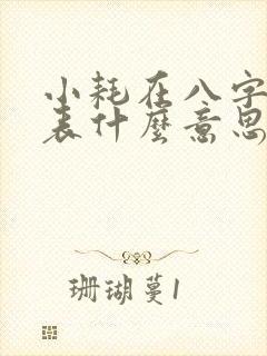 小耗在八字中代表什么意思