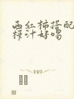 西红柿搭配什么榨汁好喝