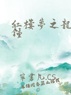 红楼梦之龙套秦钟