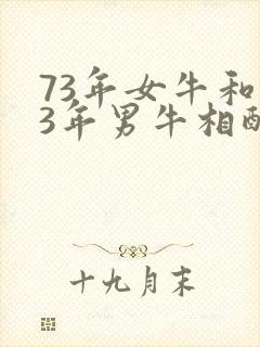 73年女牛和73年男牛相配婚姻如何