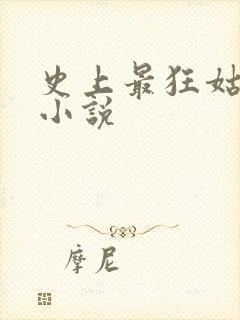 史上最狂姑爷 小说
