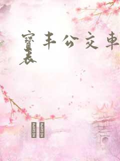 宝丰公交车线路表