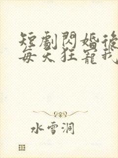 短剧闪婚后大叔每天狂宠我