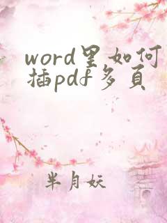 word里如何插pdf多页