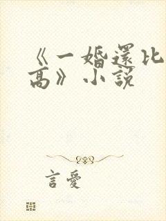 《一婚还比一婚高》小说