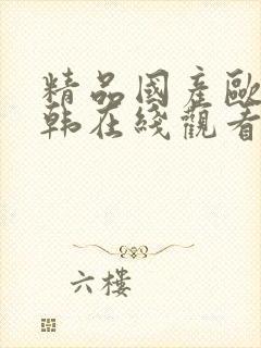精品国产欧美日韩在线观看
