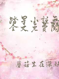 踏星小说无弹窗全文免费阅读