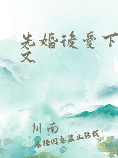 先婚后爱下载全文