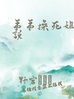弟弟操死姐姐小说