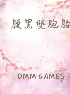 腹黑双胞胎