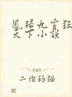 凤归九霄狂妃逆天下小说