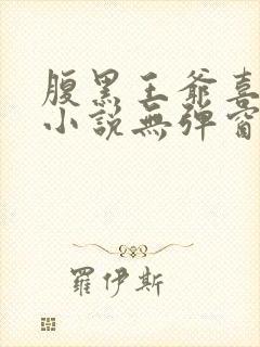 腹黑王爷喜当爹小说无弹窗