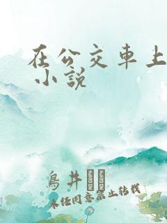 在公交车上被h 小说