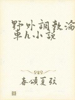 野外调教沦为公车h小说