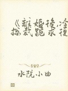 《离婚后,冷艳总裁跪求复婚》