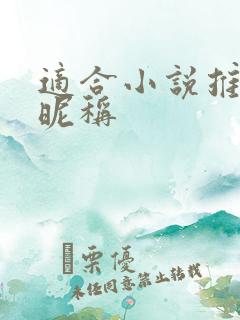 适合小说推文的昵称