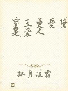 宝玉更爱黛玉还是袭人