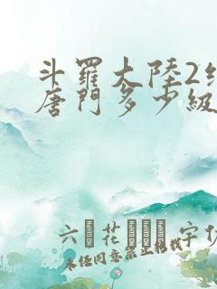 斗罗大陆2绝世唐门多少级