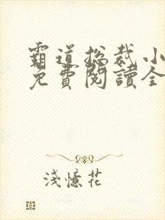霸道总裁小娇妻免费阅读全文