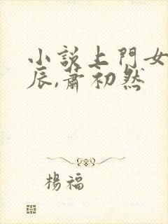 小说上门女婿叶辰,萧初然