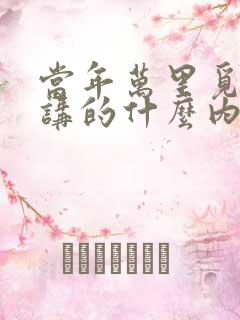 当年万里觅封侯讲的什么内容