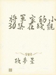 将军家的小娘子30集在线观看