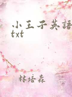 小王子英语原版txt