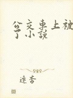 公交车上被乱操了小说