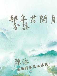那年花开月正圆 分集