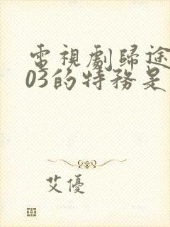 电视剧归途代号03的特务是谁