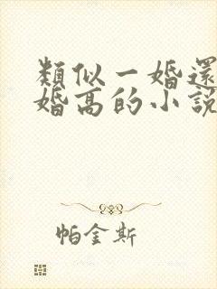 类似一婚还比一婚高的小说高干文