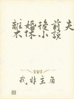 离婚后前夫纠缠不休小说
