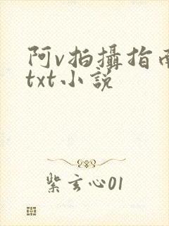 阿v拍摄指南说txt小说