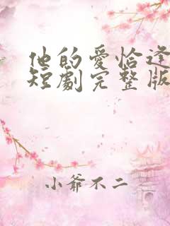 他的爱恰逢其时短剧完整版