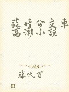 苏晴公交车被弄高潮小说