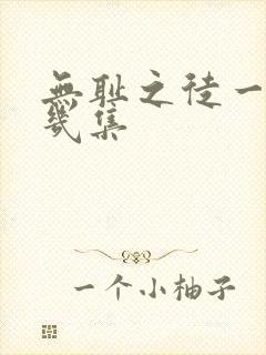 无耻之徒一共有几集