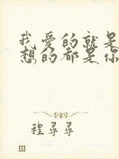 我爱的就是你 想的都是你,是什么歌曲