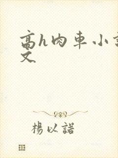 高h肉车小说车文