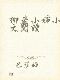 柳岩小婶小说全文阅读