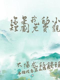 你是我的小美好短剧免费观看全集