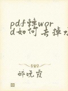 pdf转word如何去掉水印