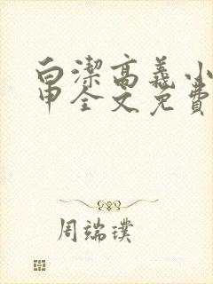 白洁高义小说王申全文免费笔趣阁阅读