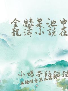 金麟是池中物侯龙涛小说在线