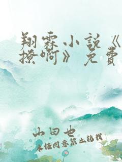 翔霖小说《挺会撩啊》免费阅读